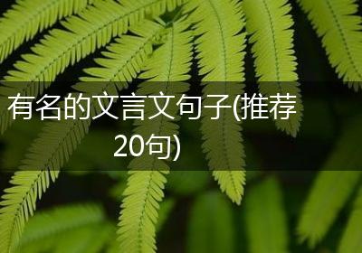 有名的文言文句子(推荐20句)