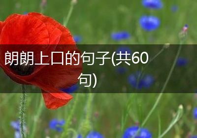 朗朗上口的句子(共60句)