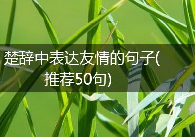 楚辞中表达友情的句子(推荐50句)