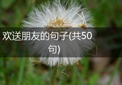 欢送朋友的句子(共50句)