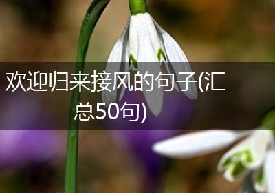欢迎归来接风的句子(汇总50句)