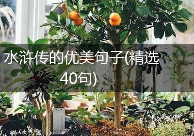 水浒传的优美句子(精选40句)