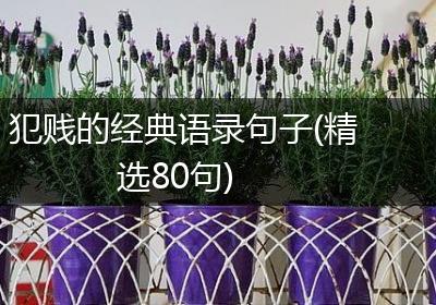 犯贱的经典语录句子(精选80句)