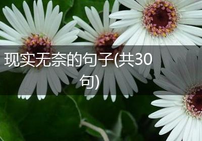现实无奈的句子(共30句)