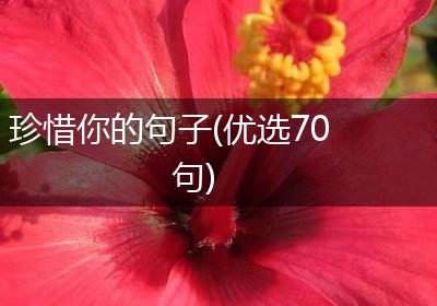 珍惜你的句子(优选70句)
