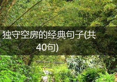 独守空房的经典句子(共40句)