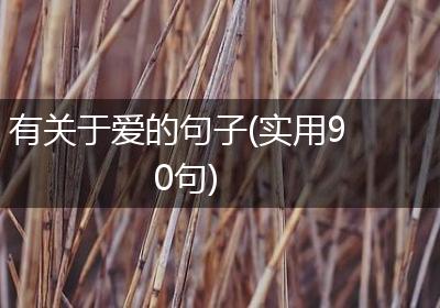 有关于爱的句子(实用90句)