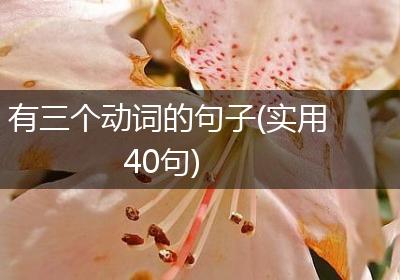 有三个动词的句子(实用40句)