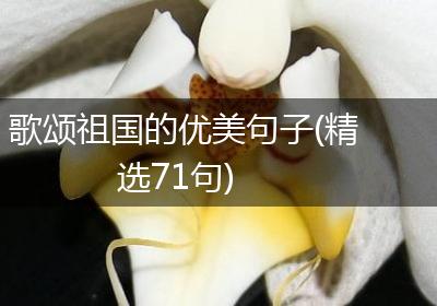 歌颂祖国的优美句子(精选71句)