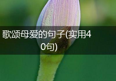 歌颂母爱的句子(实用40句)