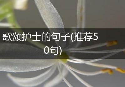 歌颂护士的句子(推荐50句)