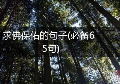 求佛保佑的句子(必备65句)