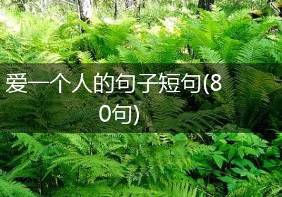 爱一个人的句子短句(80句)