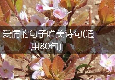爱情的句子唯美诗句(通用80句)