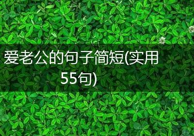 爱老公的句子简短(实用55句)