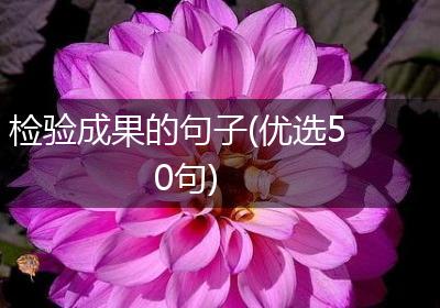 检验成果的句子(优选50句)