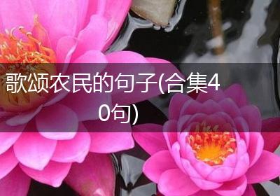 歌颂农民的句子(合集40句)