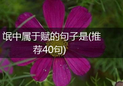 氓中属于赋的句子是(推荐40句)