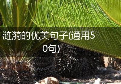 涟漪的优美句子(通用50句)