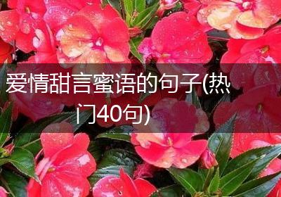 爱情甜言蜜语的句子(热门40句)