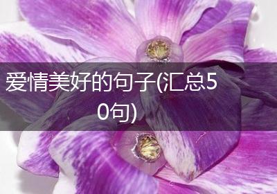 爱情美好的句子(汇总50句)