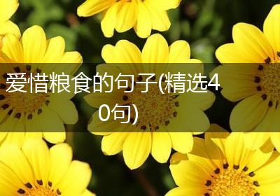 爱惜粮食的句子(精选40句)