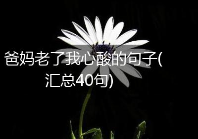 爸妈老了我心酸的句子(汇总40句)