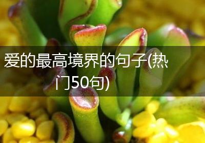 爱的最高境界的句子(热门50句)