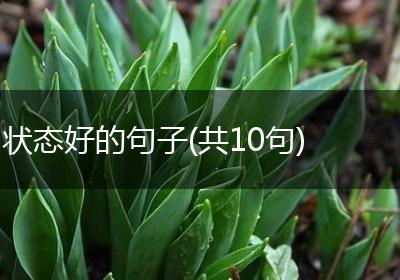 状态好的句子(共10句)