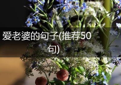 爱老婆的句子(推荐50句)