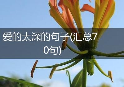 爱的太深的句子(汇总70句)