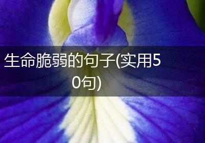 生命脆弱的句子(实用50句)