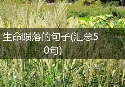 生命陨落的句子(汇总50句)