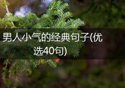 男人小气的经典句子(优选40句)