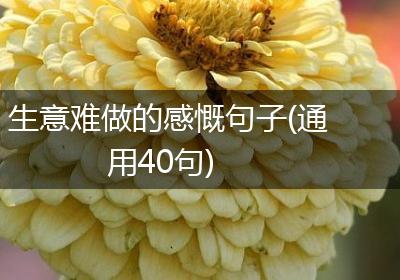 生意难做的感慨句子(通用40句)