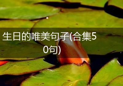 生日的唯美句子(合集50句)