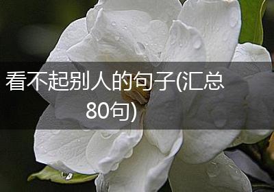 看不起别人的句子(汇总80句)