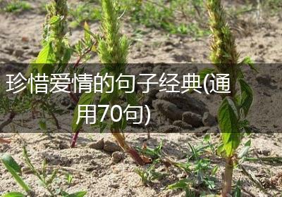 珍惜爱情的句子经典(通用70句)