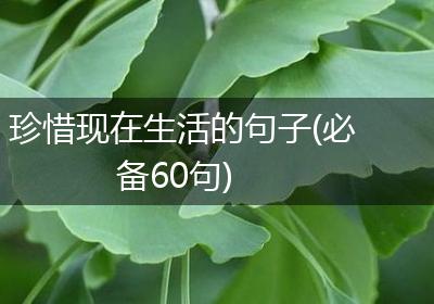珍惜现在生活的句子(必备60句)