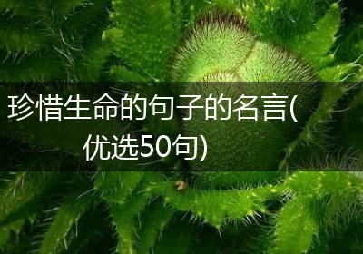 珍惜生命的句子的名言(优选50句)