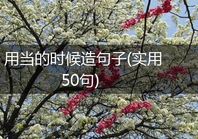 用当的时候造句子(实用50句)