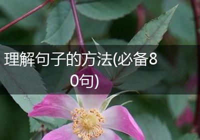 理解句子的方法(必备80句)