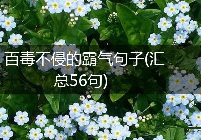 百毒不侵的霸气句子(汇总56句)