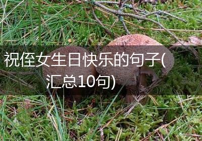 祝侄女生日快乐的句子(汇总10句)