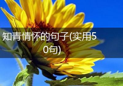 知青情怀的句子(实用50句)