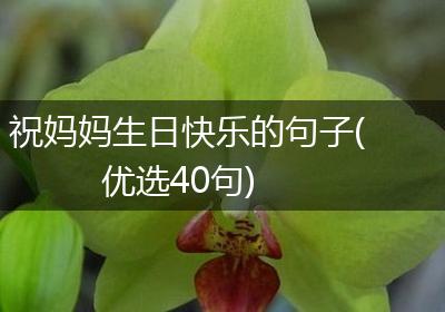 祝妈妈生日快乐的句子(优选40句)