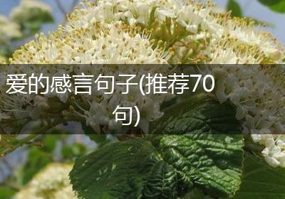 爱的感言句子(推荐70句)