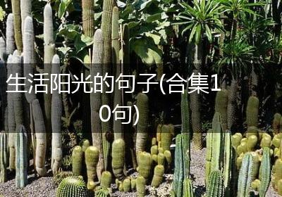 生活阳光的句子(合集10句)