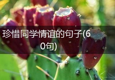 珍惜同学情谊的句子(60句)
