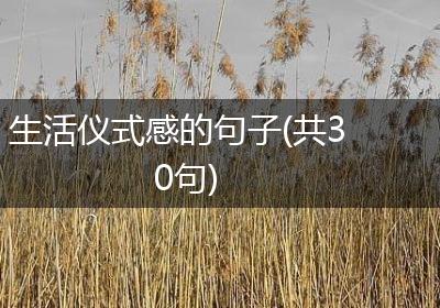 生活仪式感的句子(共30句)